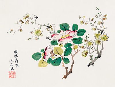 Cherry Blossom and Camellia — Botanical Print. poster print