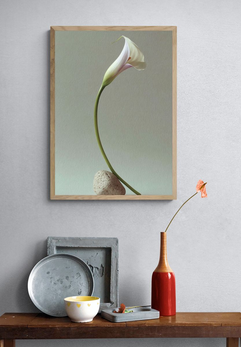 Elegant Calla Lily — Minimalist Print. — room view 3