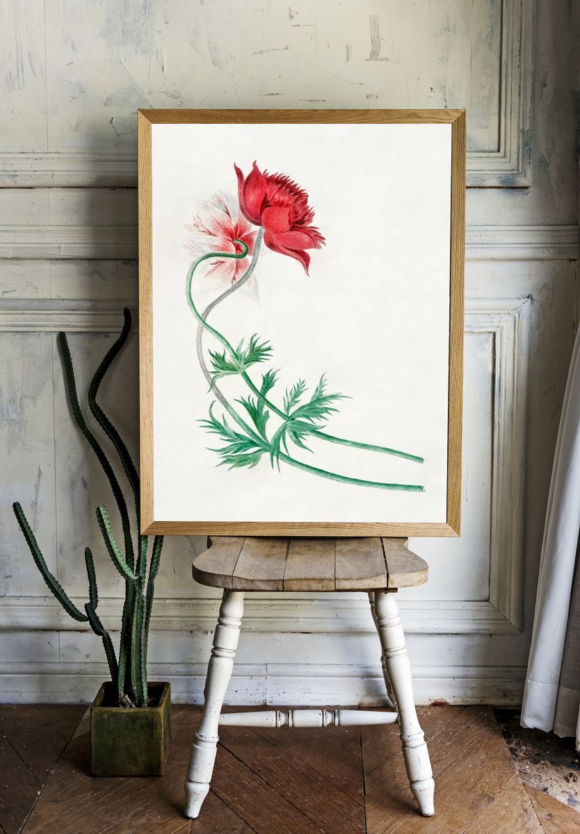 Red and White Flower Botanical Poster. — room view 1