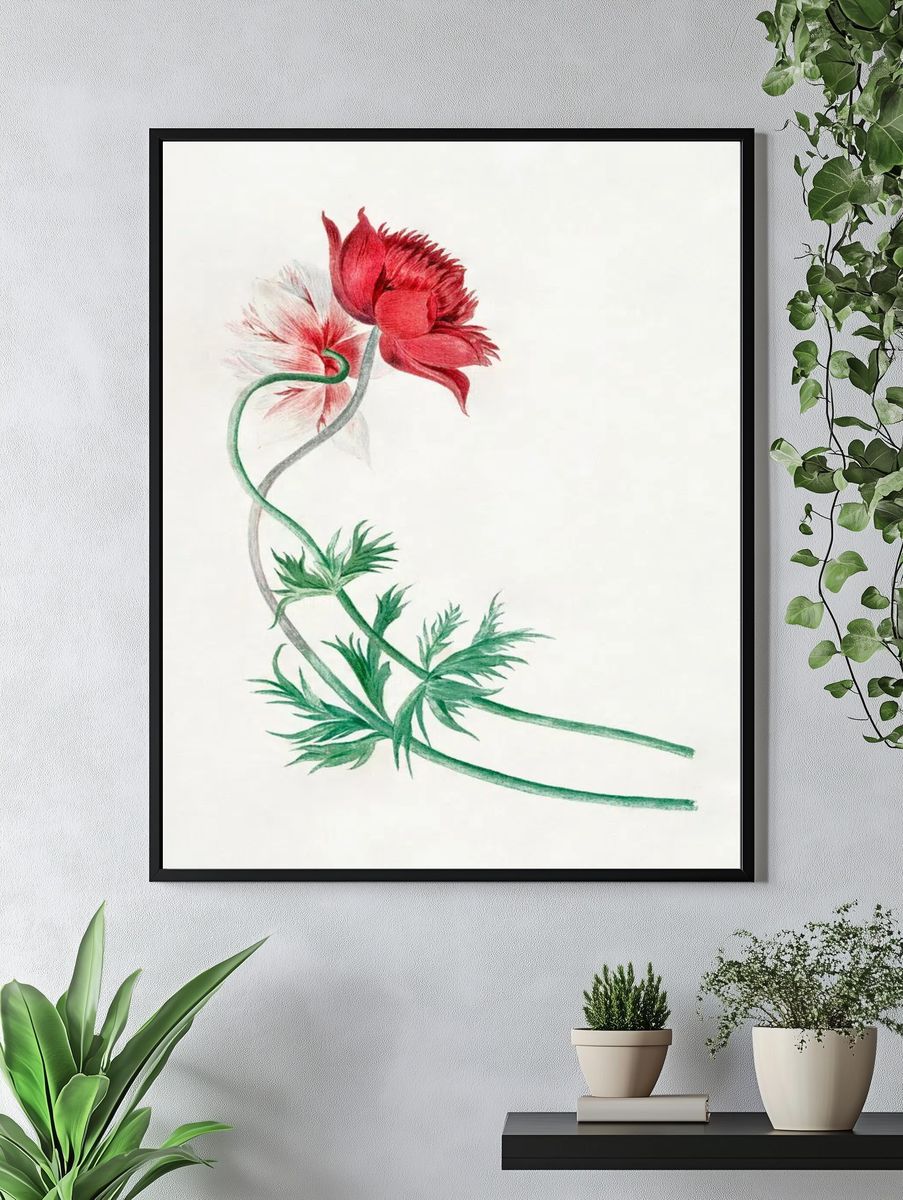 Red and White Flower Botanical Poster. — room view 4