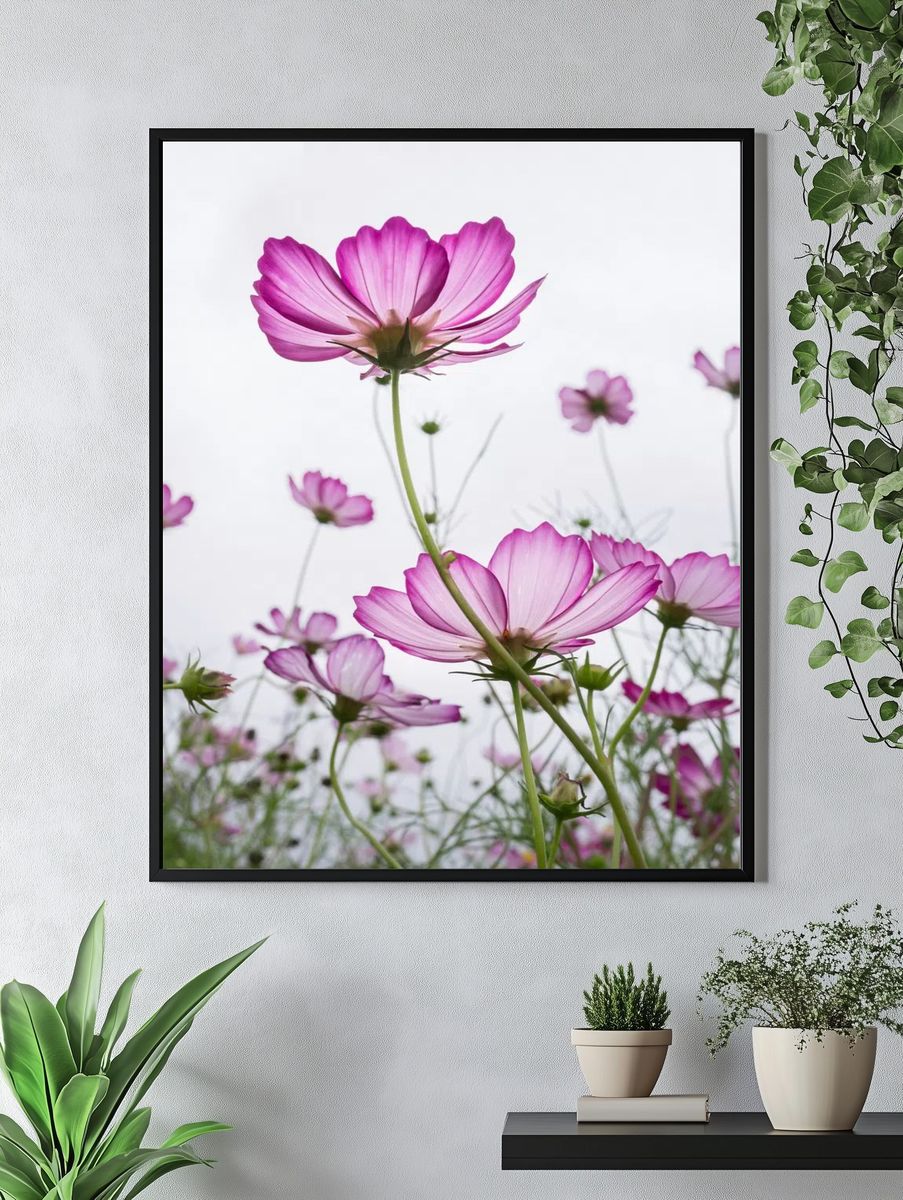 Pink Cosmos Flowers — Botanical Print. — room view 4