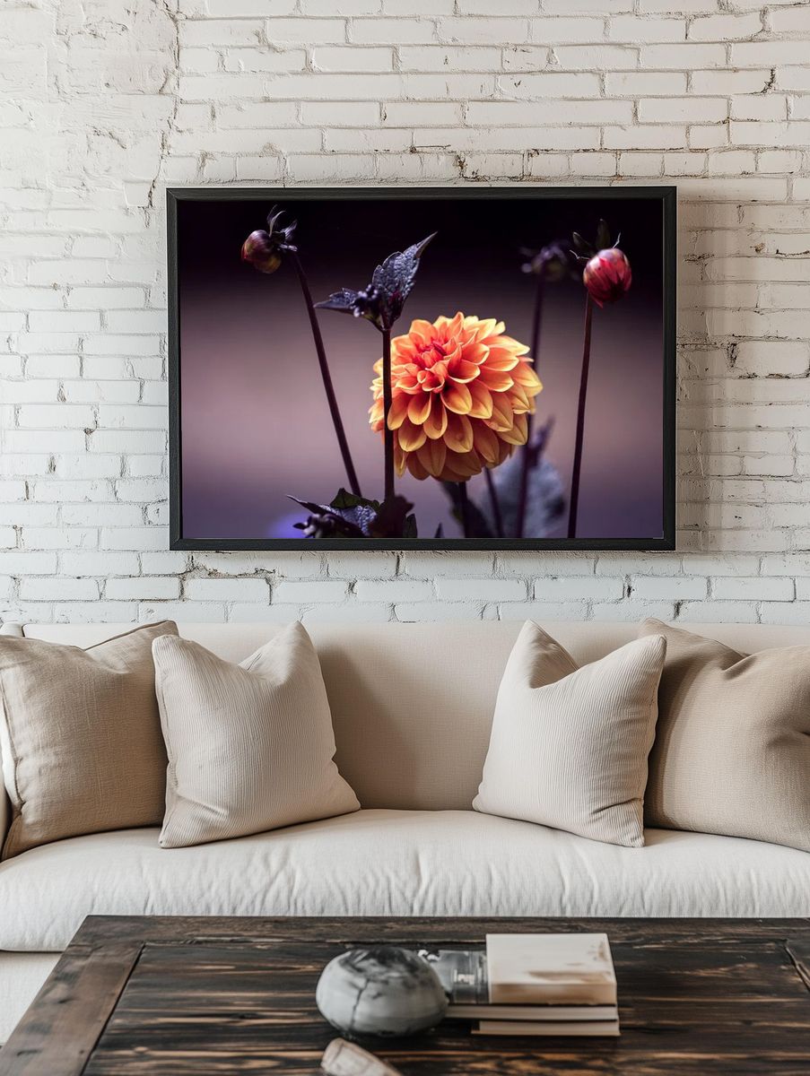 Vibrant Dahlia Flower Poster room preview