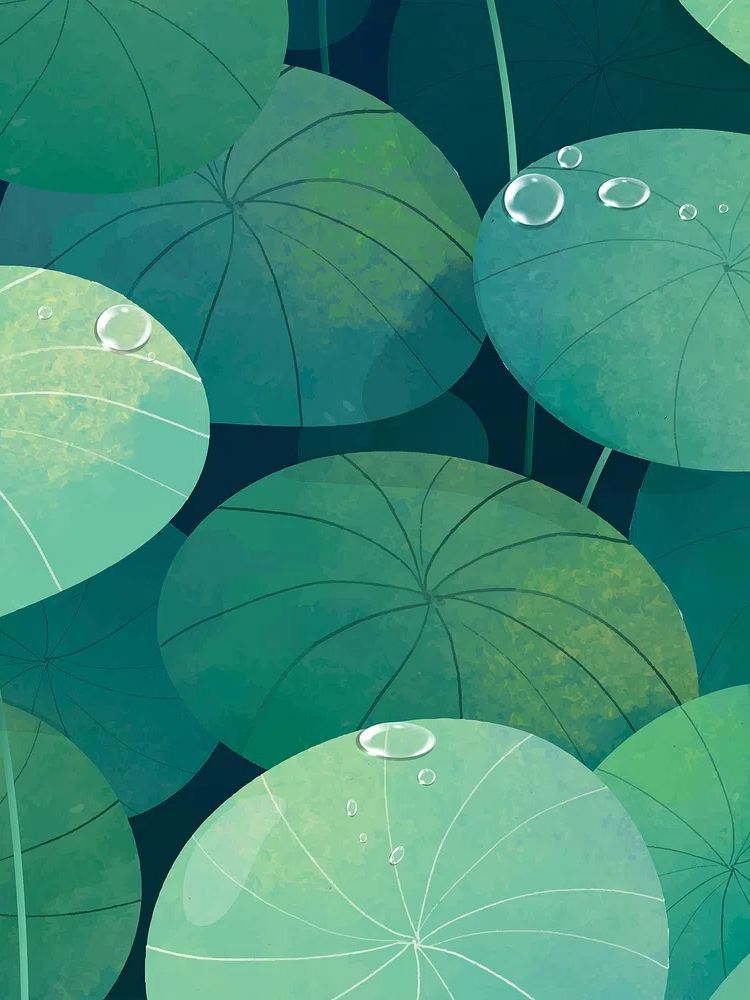Lush Green Lily Pads — Botanical Print. poster — botanical art