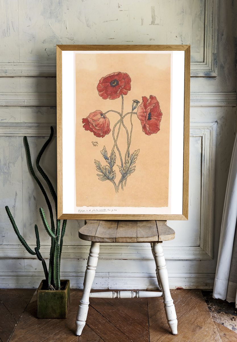 Red Poppy Botanical Illustration Poster. room preview