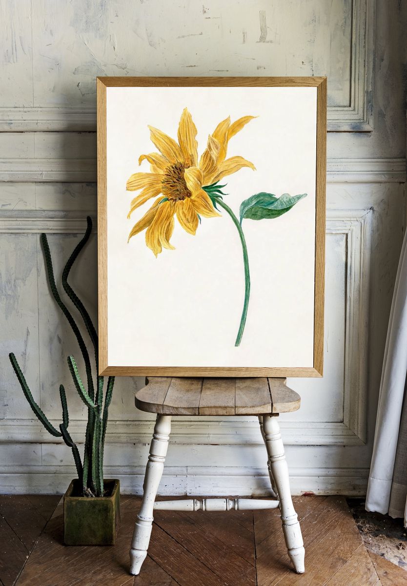 Sunflower Botanical Print room preview