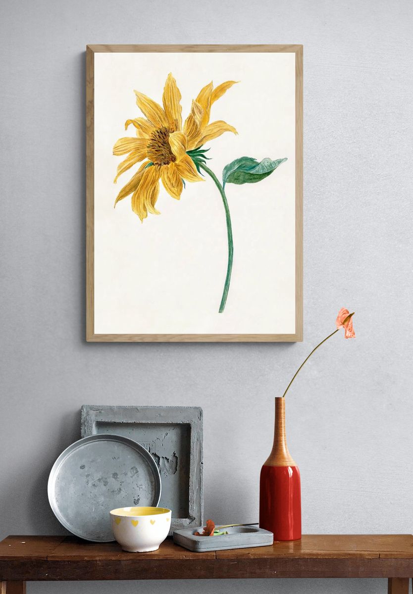 Sunflower Botanical Print. — room view 3