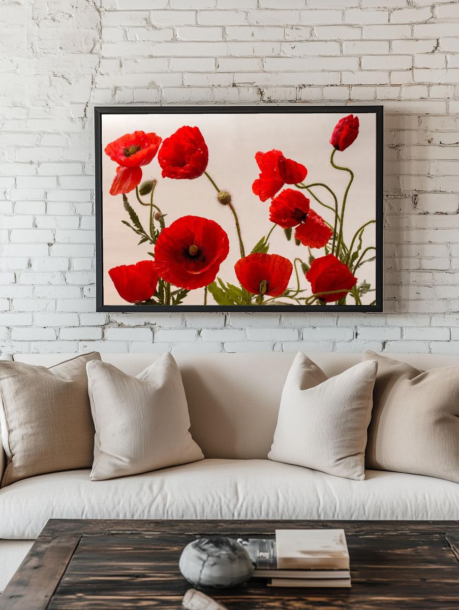 Red Poppy Flowers — Botanical Print room preview