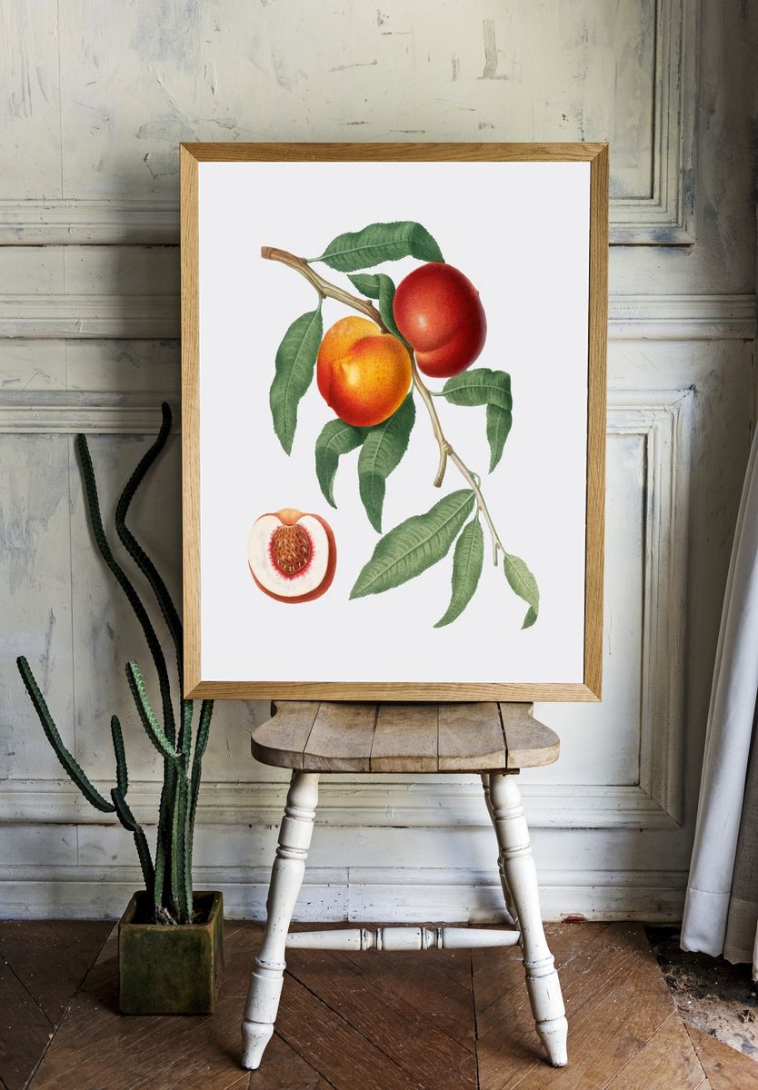 Peach Branch — Botanical Print room preview