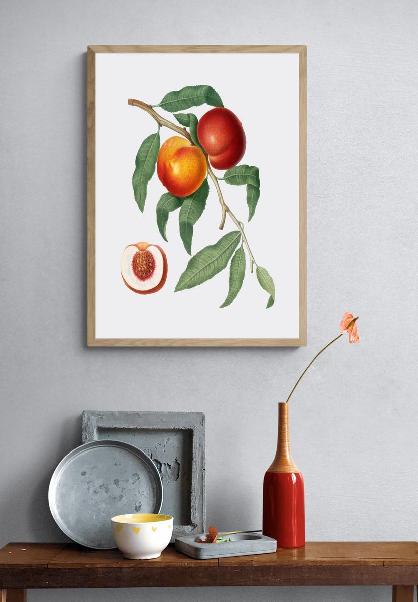 Peach Branch — Botanical Print. — room view 3