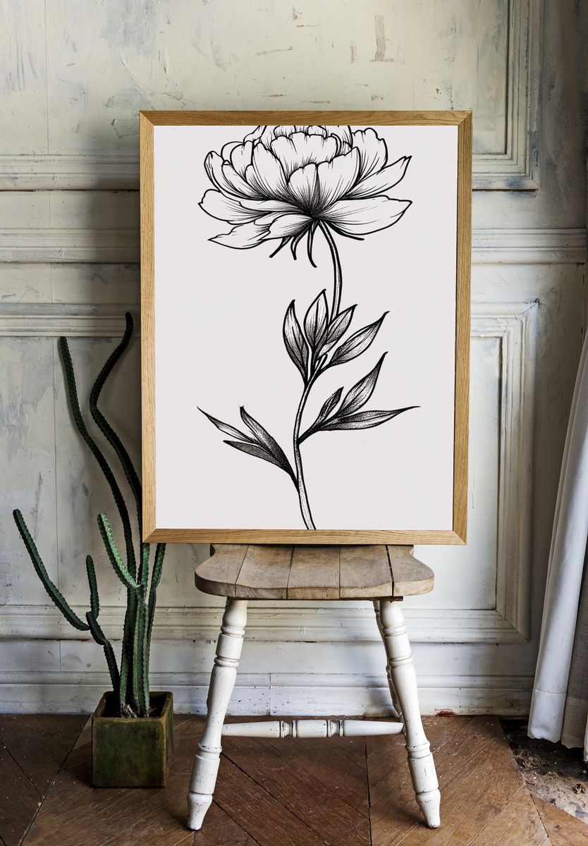 Peony Flower Illustration Poster room preview