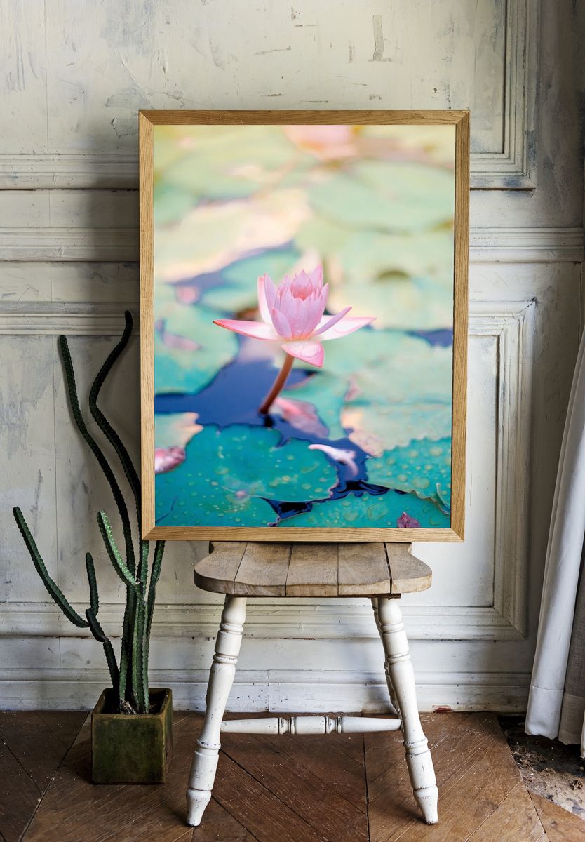 Pink Water Lily — Botanical Print. room preview