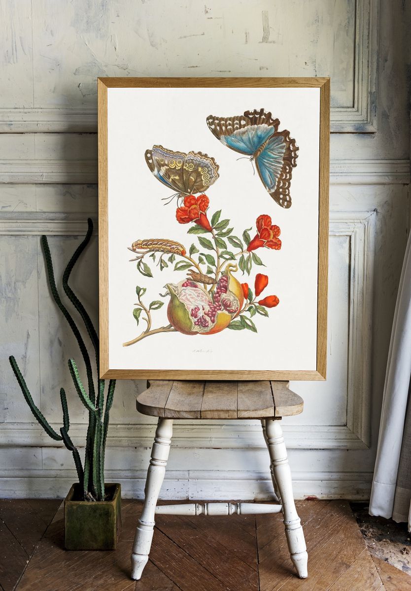 Butterflies and Pomegranate — Botanical Print. — room view 1