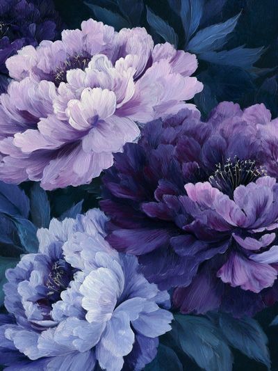 Purple Peonies — Botanical Print. poster print