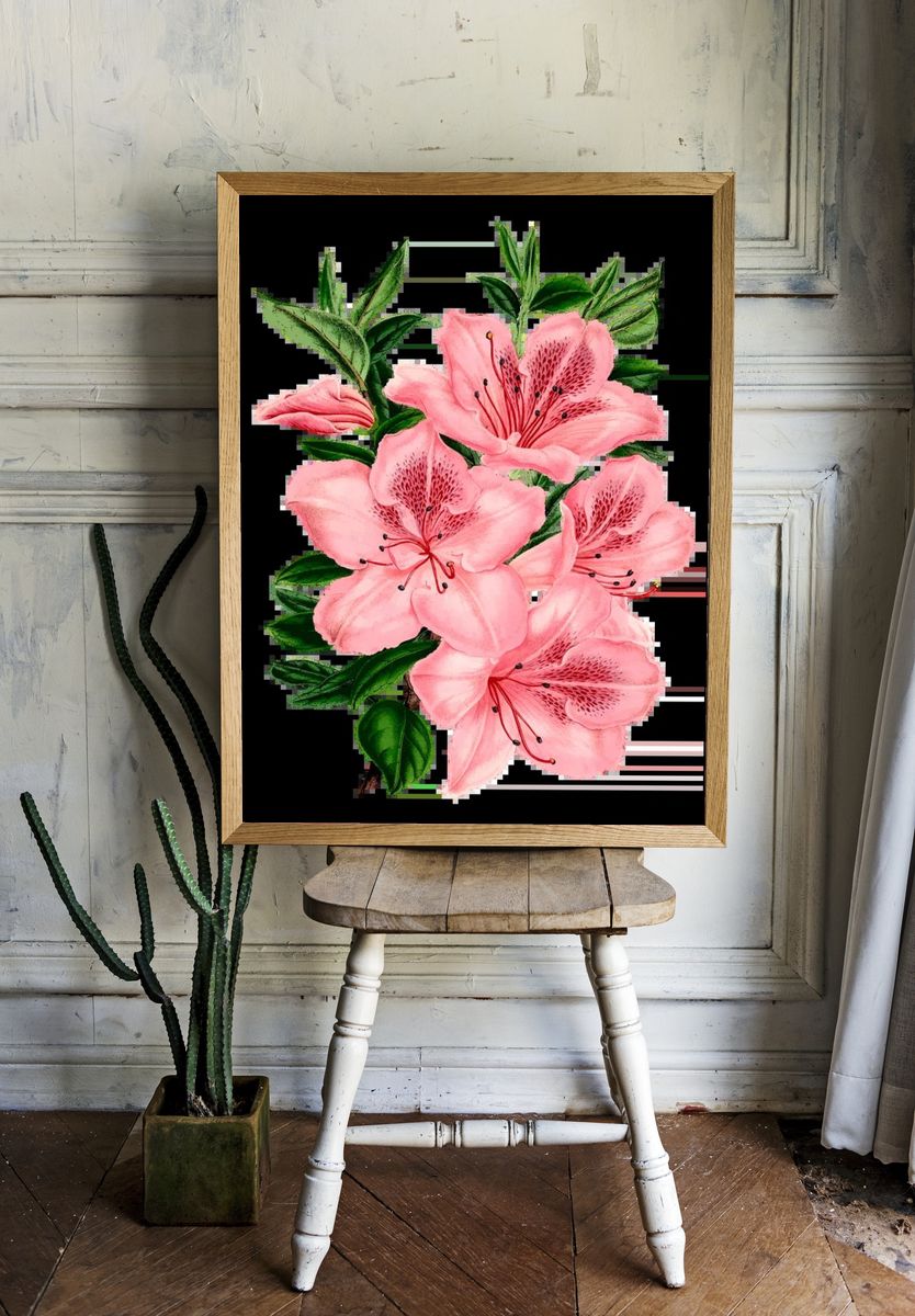 Pink Azalea Flowers — Botanical Print. room preview