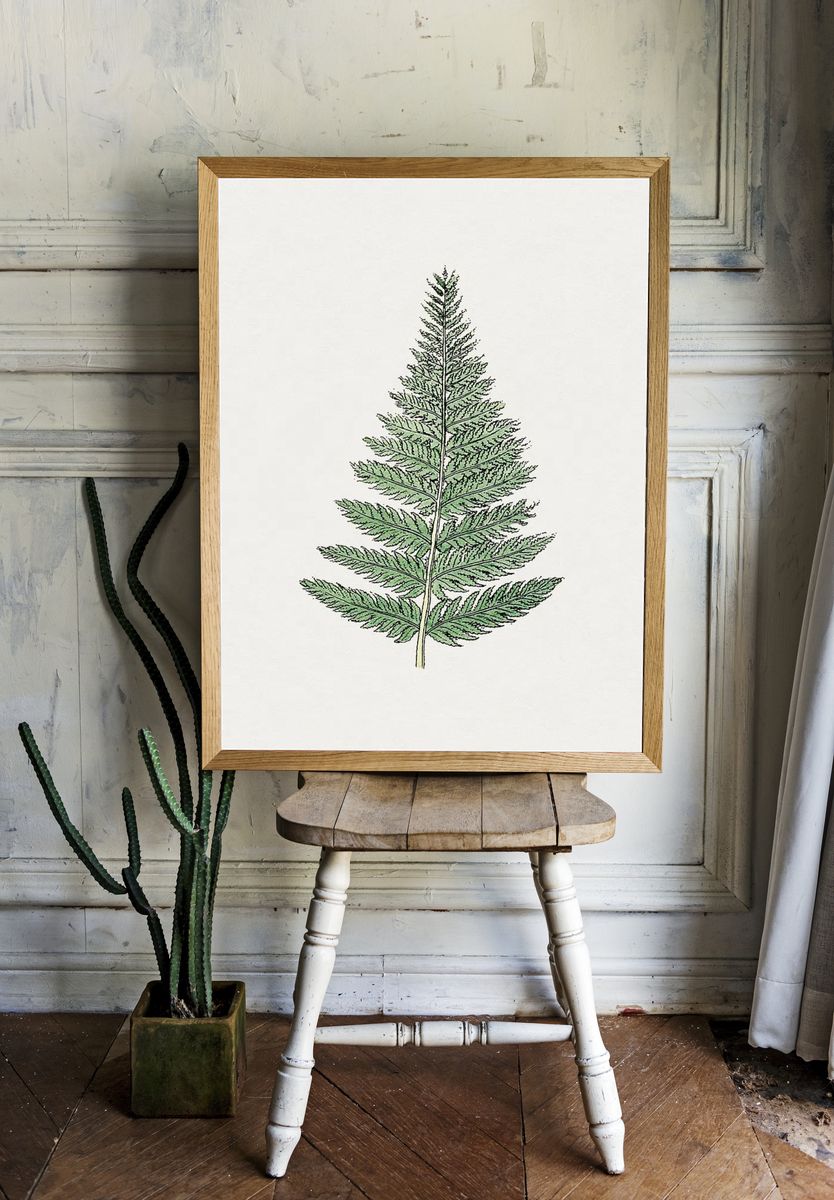 Fern Leaf Botanical Print. — room view 1