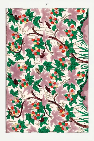 Grapevine Botanical Print. poster print