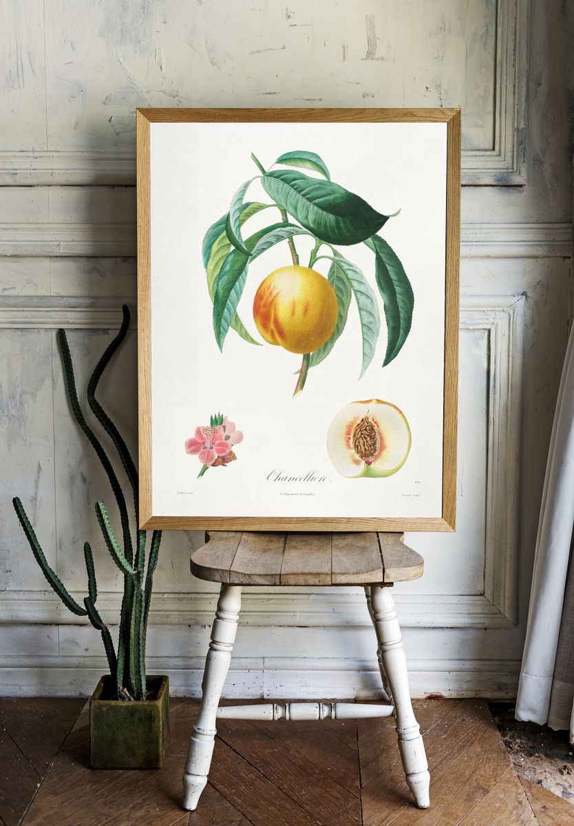 Channellore Botanical Print room preview