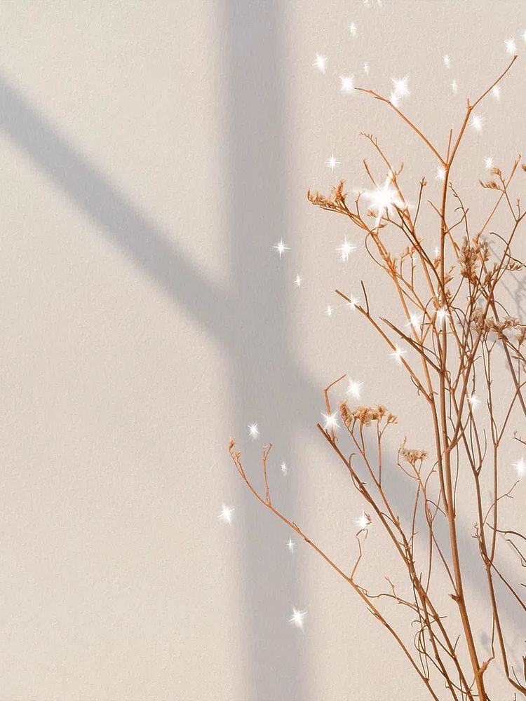 Dried Flowers with Sparkles — Botanical Print. poster detail