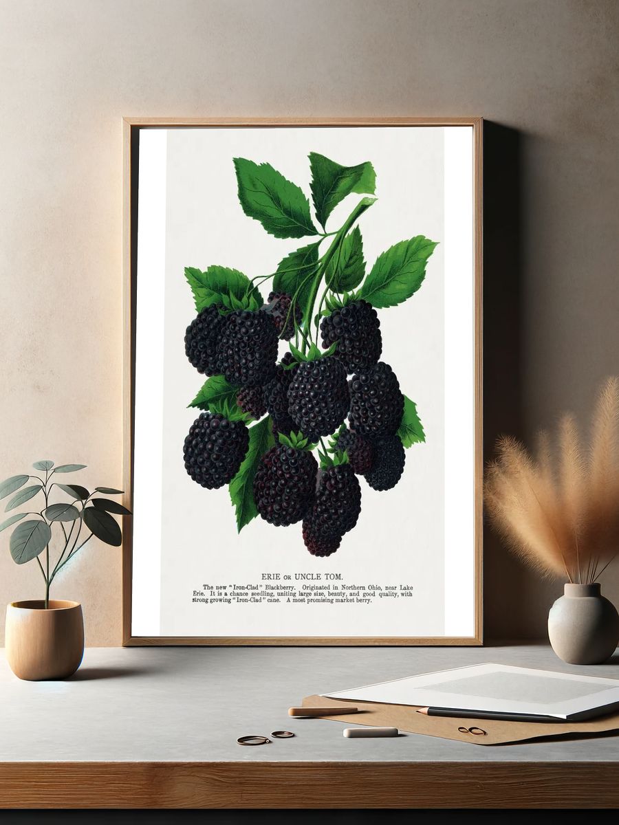 Blackberry Botanical Print. — room view 2