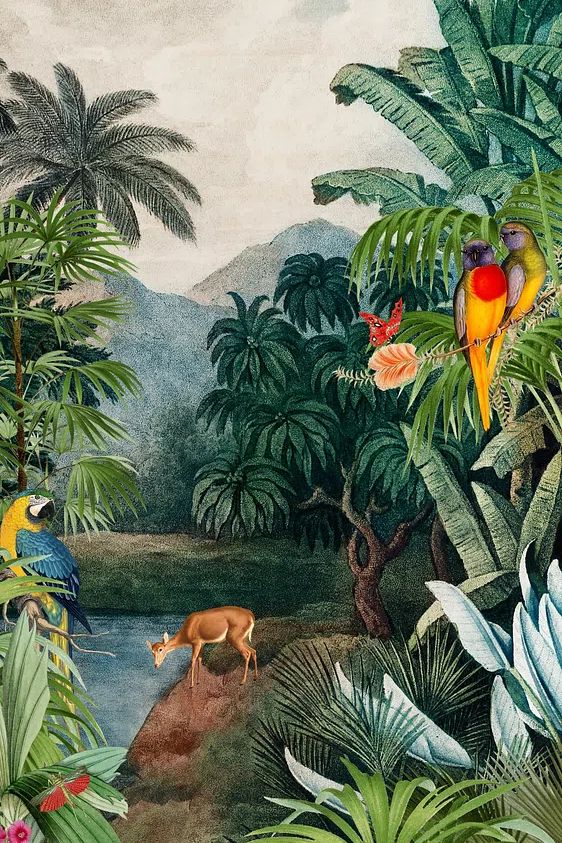 Tropical Paradise — Botanical Print. poster — botanical art