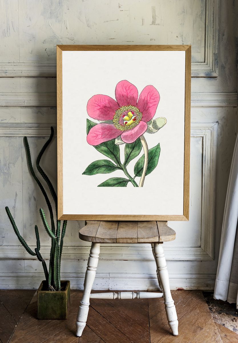 Pink Flower Botanical Print room preview