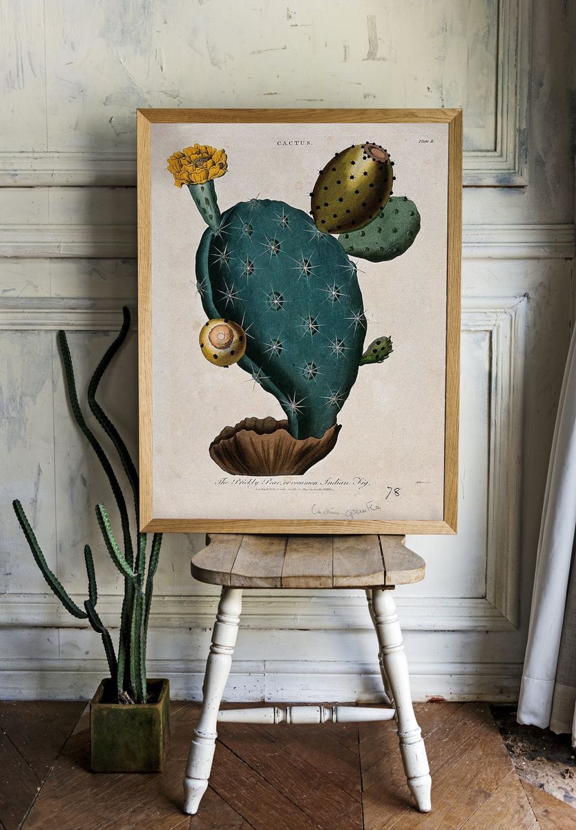 Cactus Botanical Print room preview
