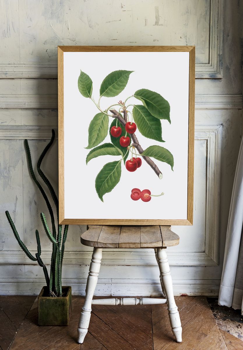 Cherry Branch Botanical Print room preview