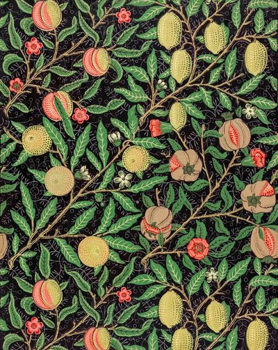 Fruit and Floral Pattern — Botanical Print. poster print