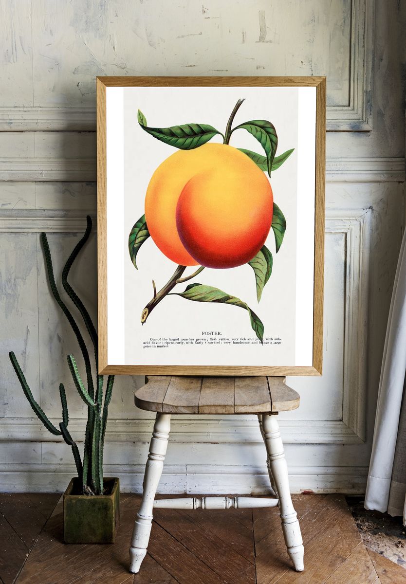 Foster Peach Botanical Print room preview
