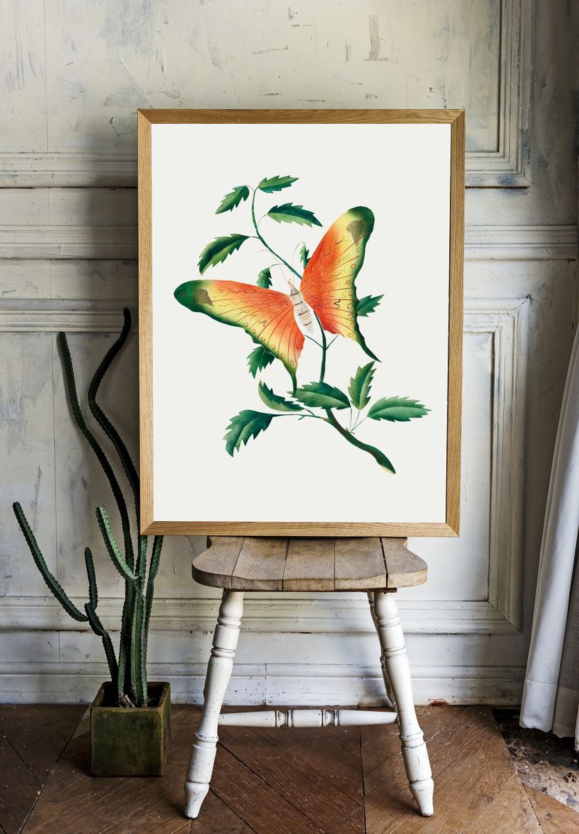 Butterfly and Leaves — Botanical Print room preview