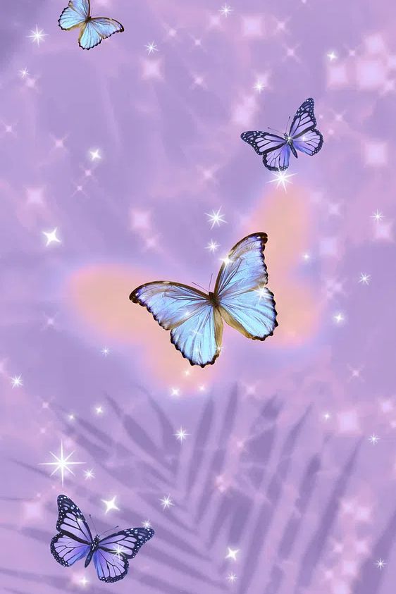 Butterflies on Purple Background Poster. poster detail