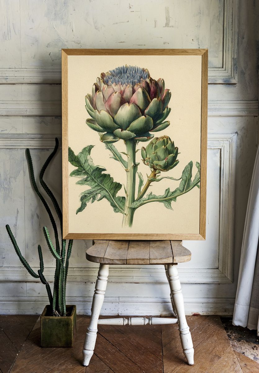 Artichoke Botanical Print room preview