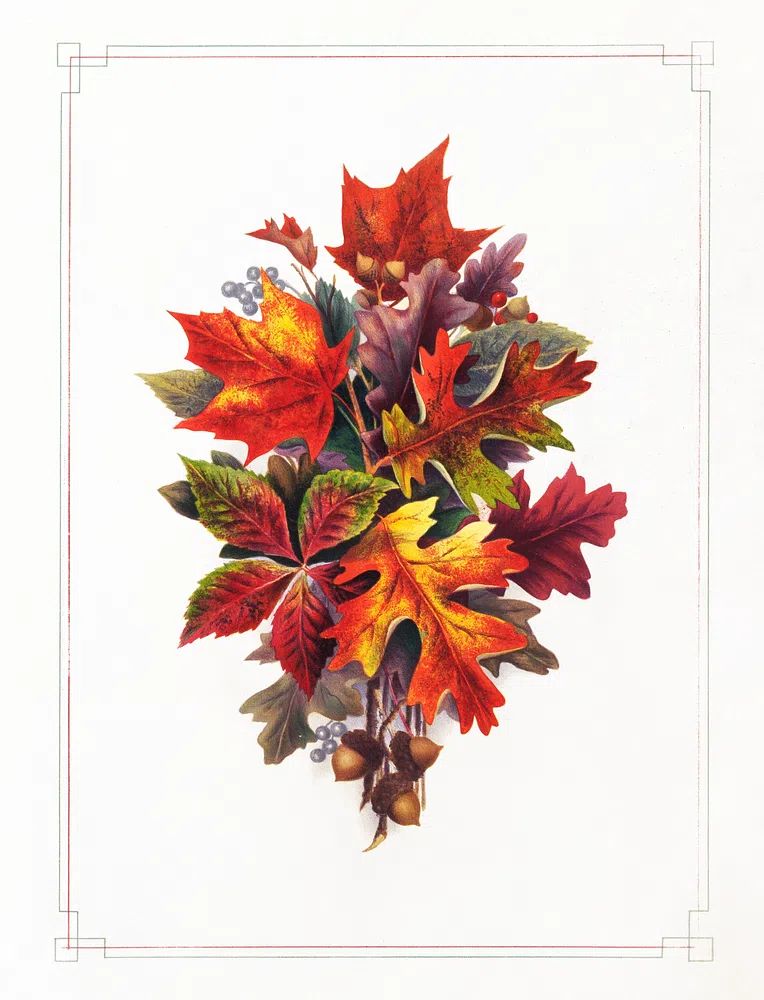 Autumn Leaves — Botanical Print. poster detail