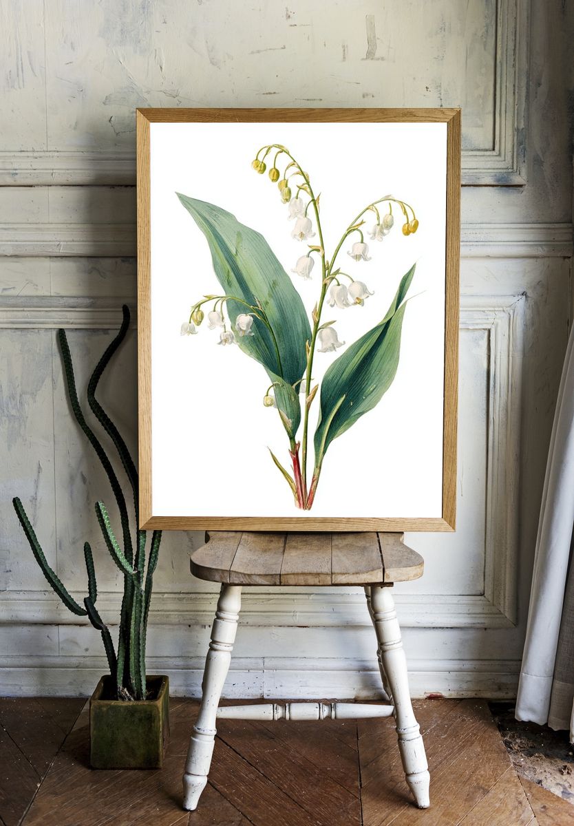 Lily of the Valley Botanical Print room preview