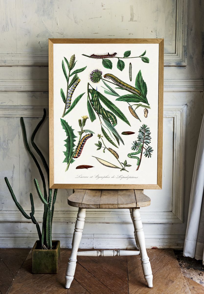 Caterpillars and Leaves — Botanical Print room preview