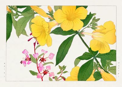 Yellow Floral Illustration Poster. poster print