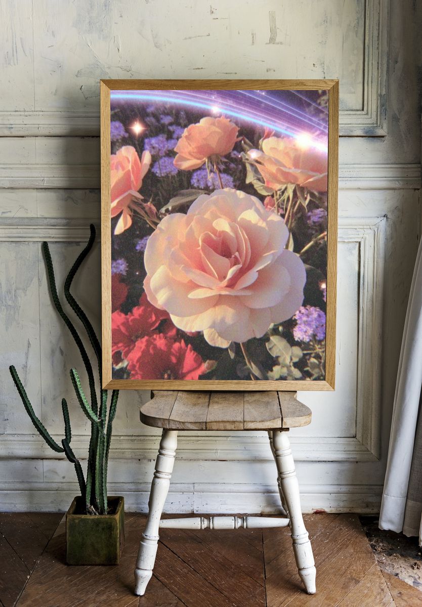Pink Roses in Bloom — Botanical Print room preview