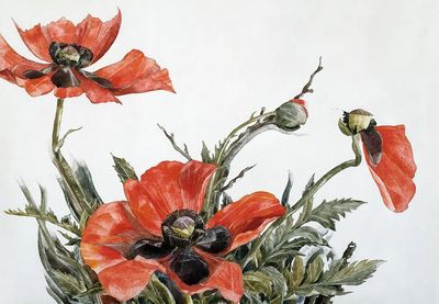 Red Poppies (1929) painting high. poster print