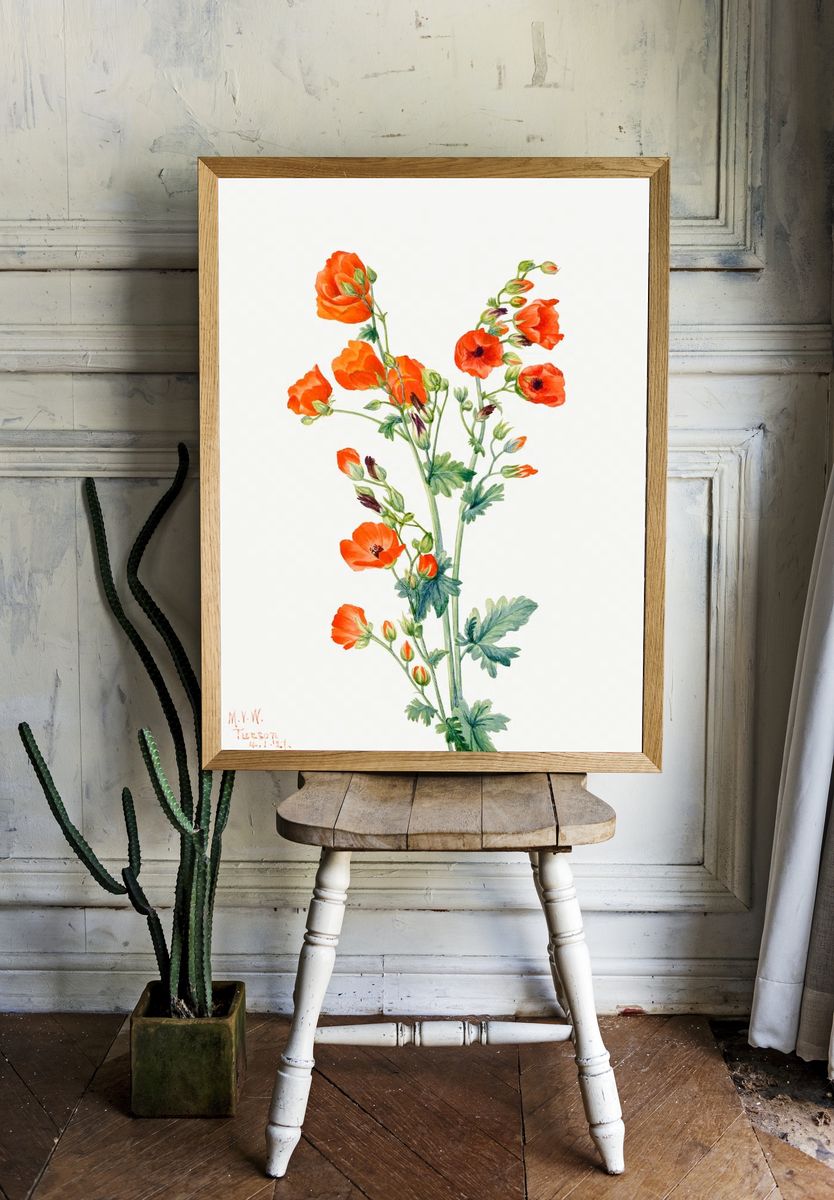 Orange Poppy Botanical Print room preview