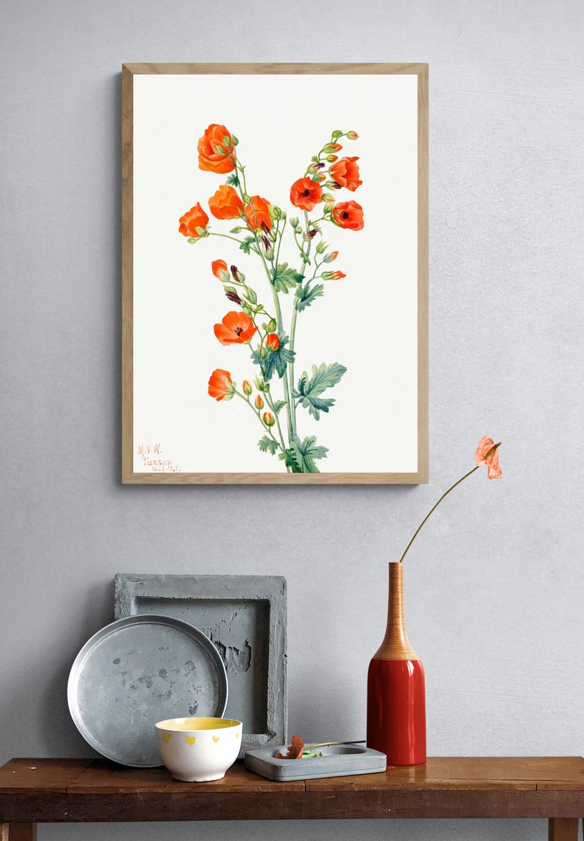 Orange Poppy Botanical Print. — room view 3