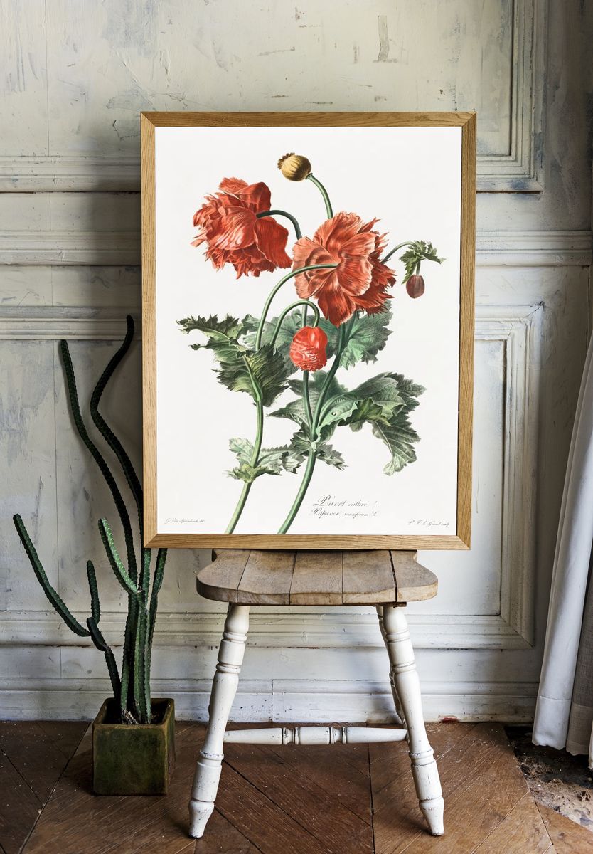 Red Poppy Botanical Print room preview