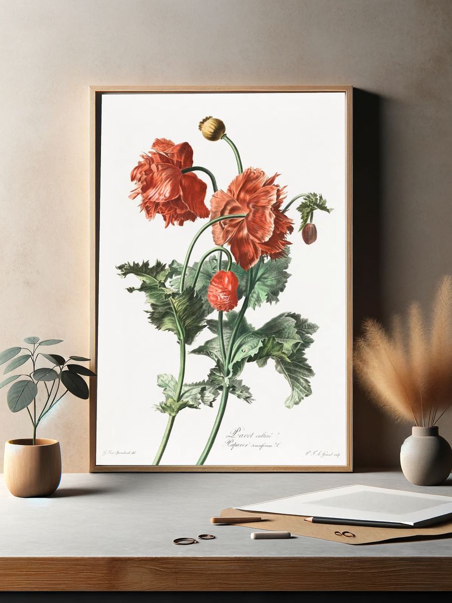 Red Poppy Botanical Print. — room view 2