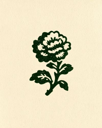 Green Floral Illustration Poster. poster print