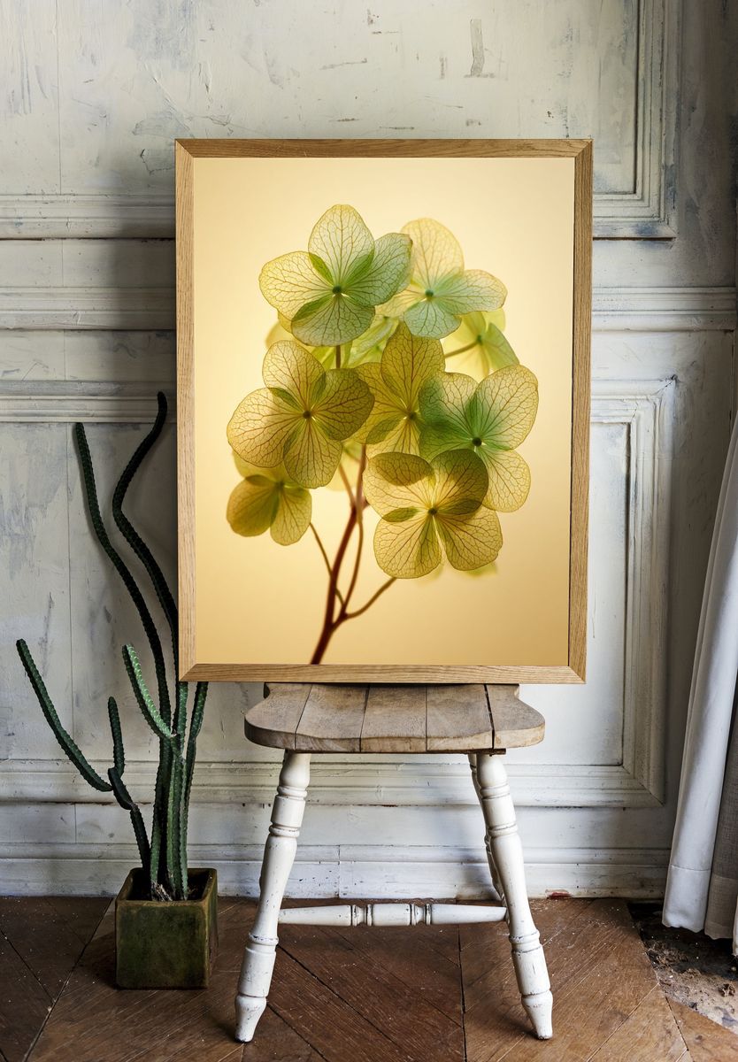 Delicate Hydrangea Leaves — Botanical Print room preview