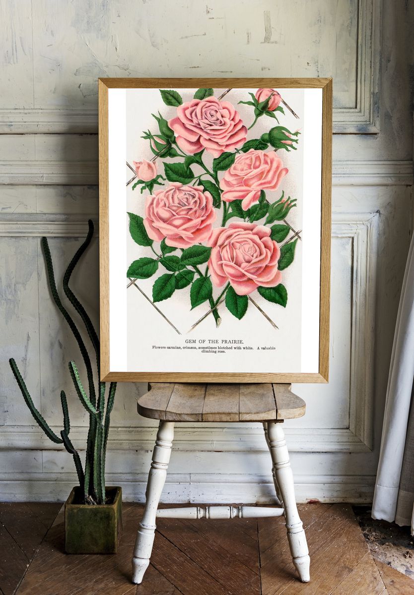 Gem of the Prairie — Botanical Print room preview