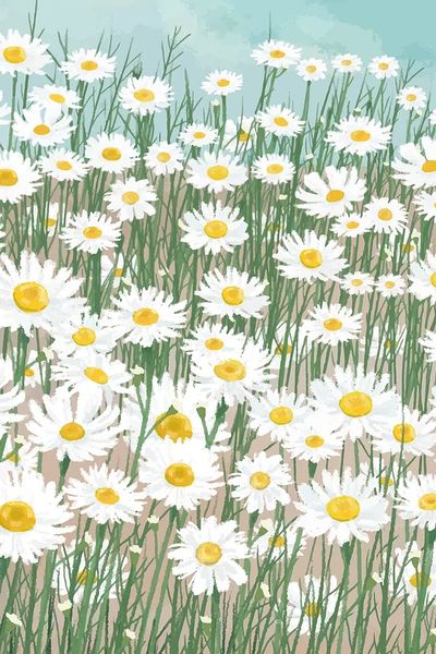 Daisy Field — Botanical Print. poster