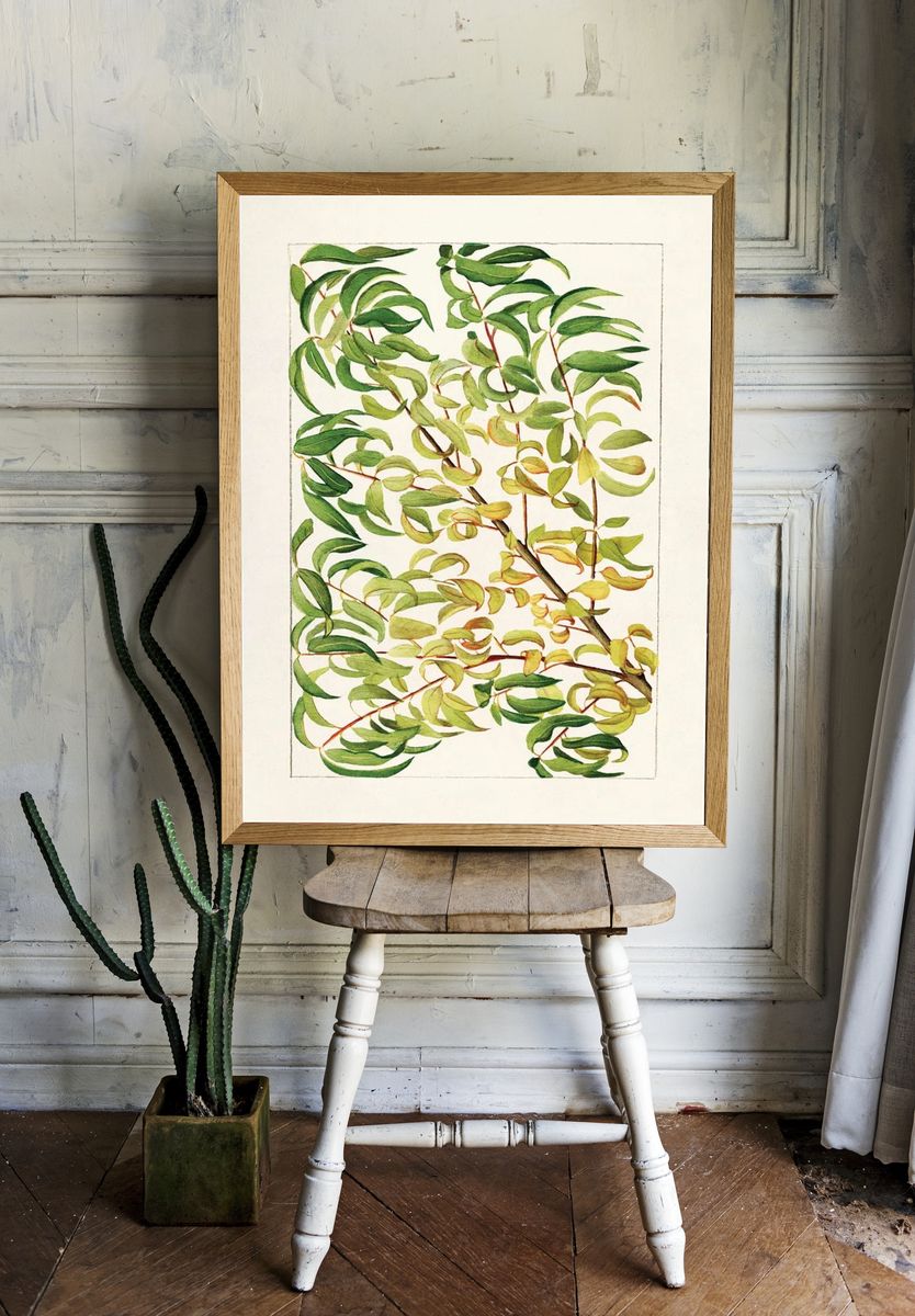 Botanical Leaves — Watercolor Print room preview