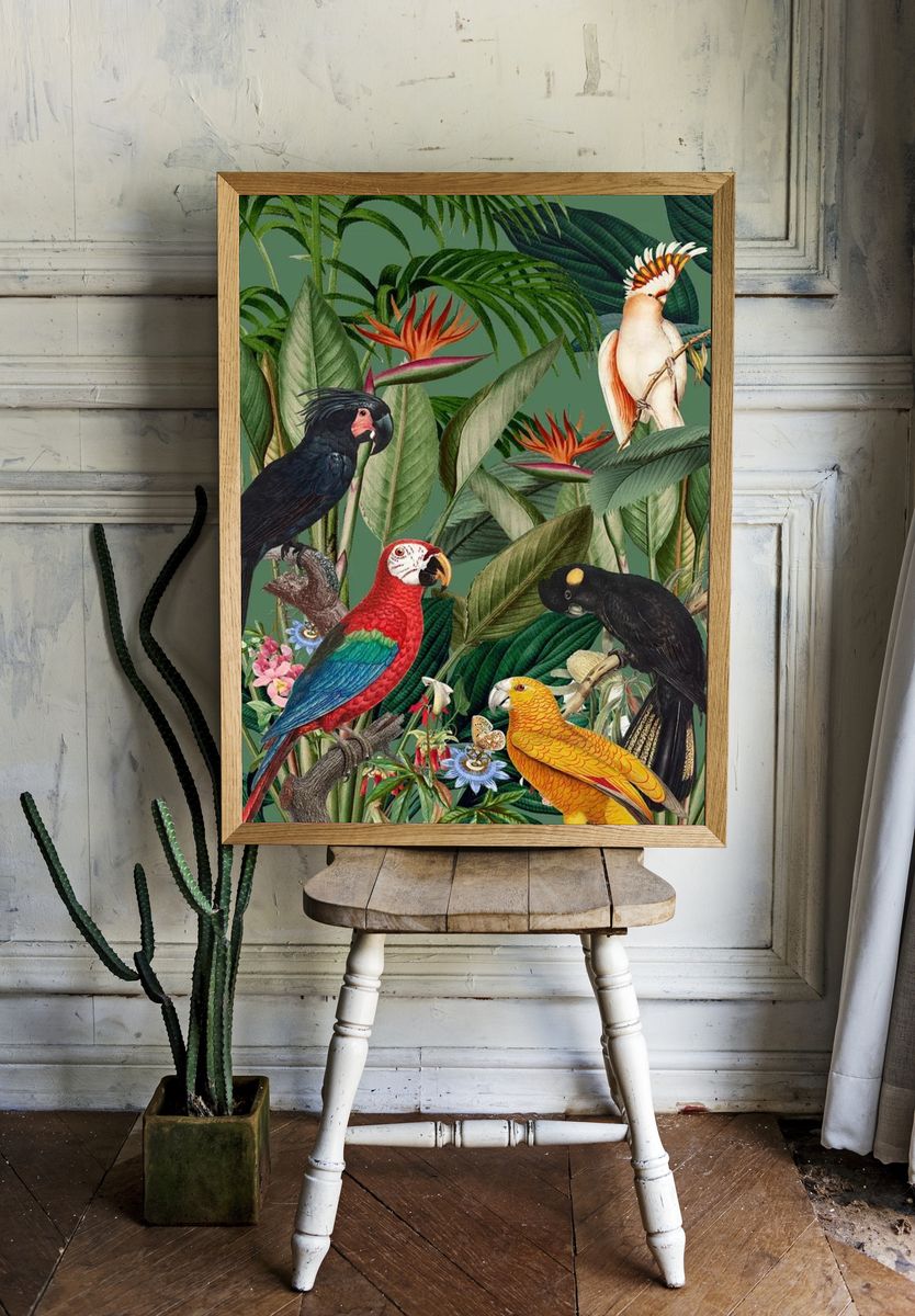 Tropical Birds and Flora — Botanical Print. room preview