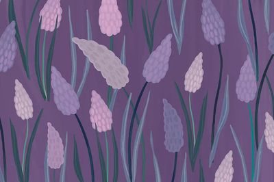 Lavender Field — Botanical Print. poster print