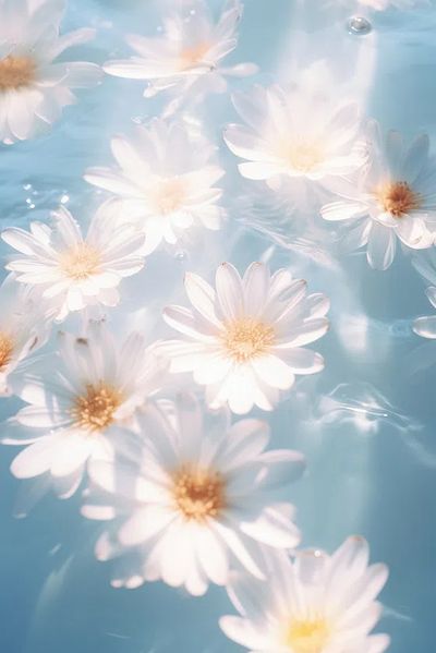 Floating Daisies — Botanical Print. poster print